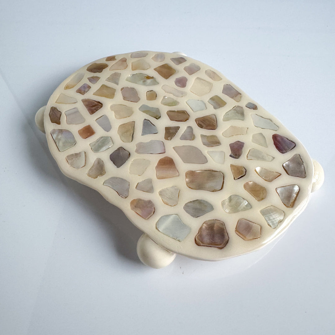 Seashell Jewelry Tray